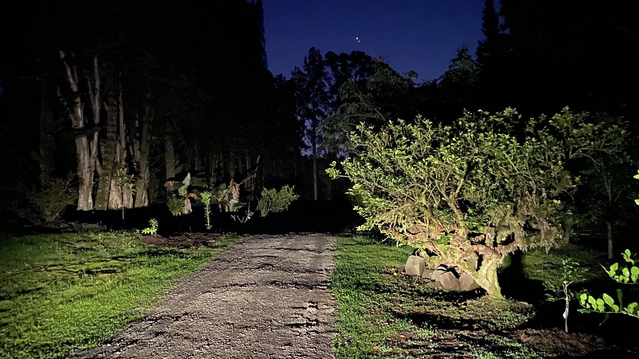 Photo of Outdoor in Fern Acres