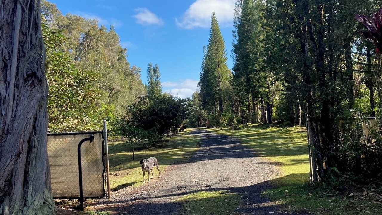 Photo of Outdoor in Fern Acres