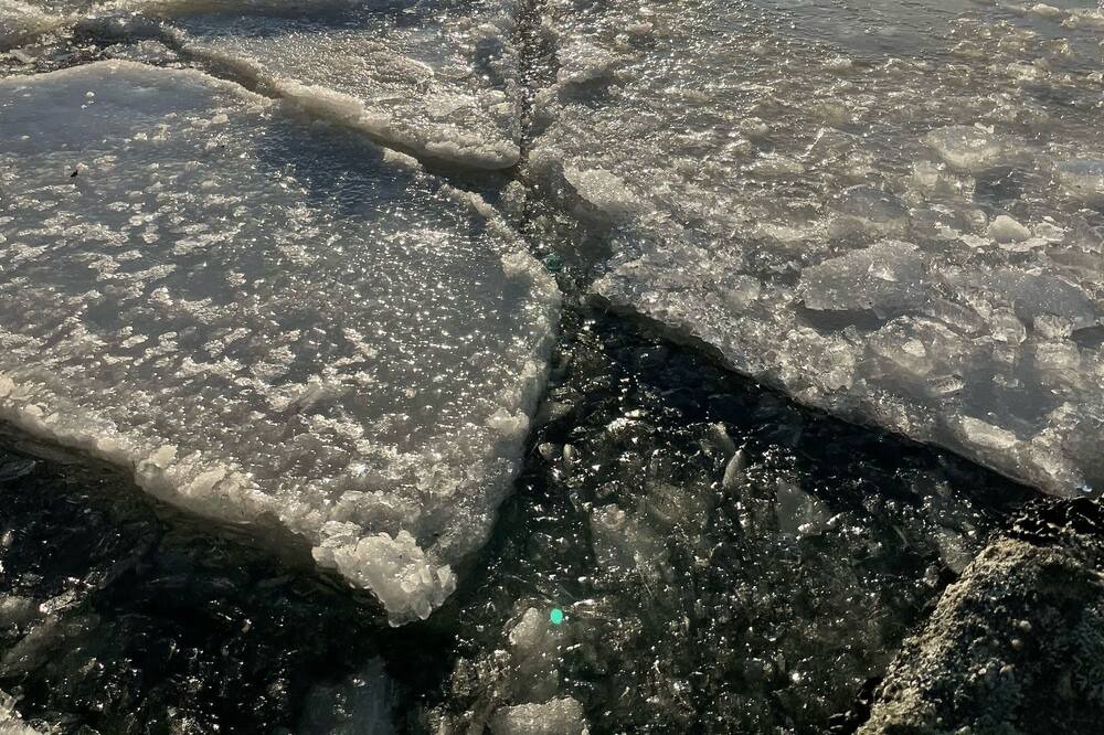 Photo of Others in Halifax County