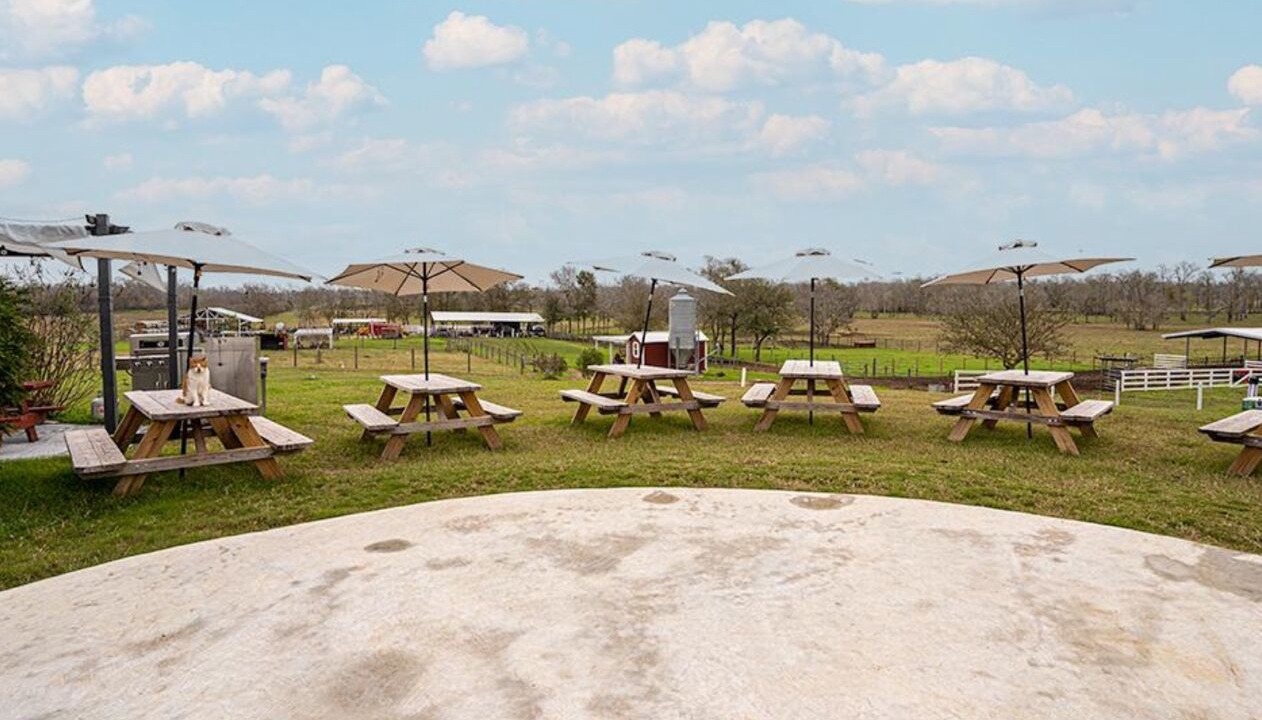 Photo of Outdoor in Lissie