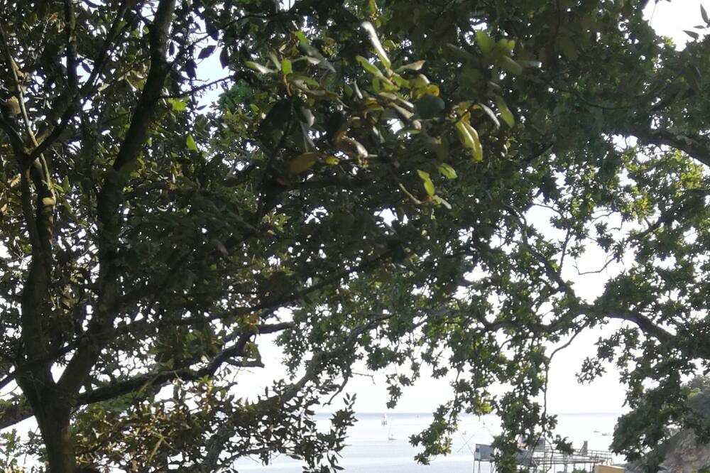 Photo of Outdoor in Saint-Marc-sur-Mer