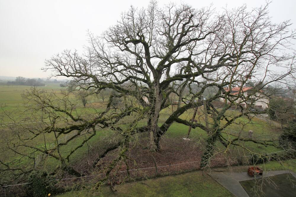 Photo of Outdoor in Meinier