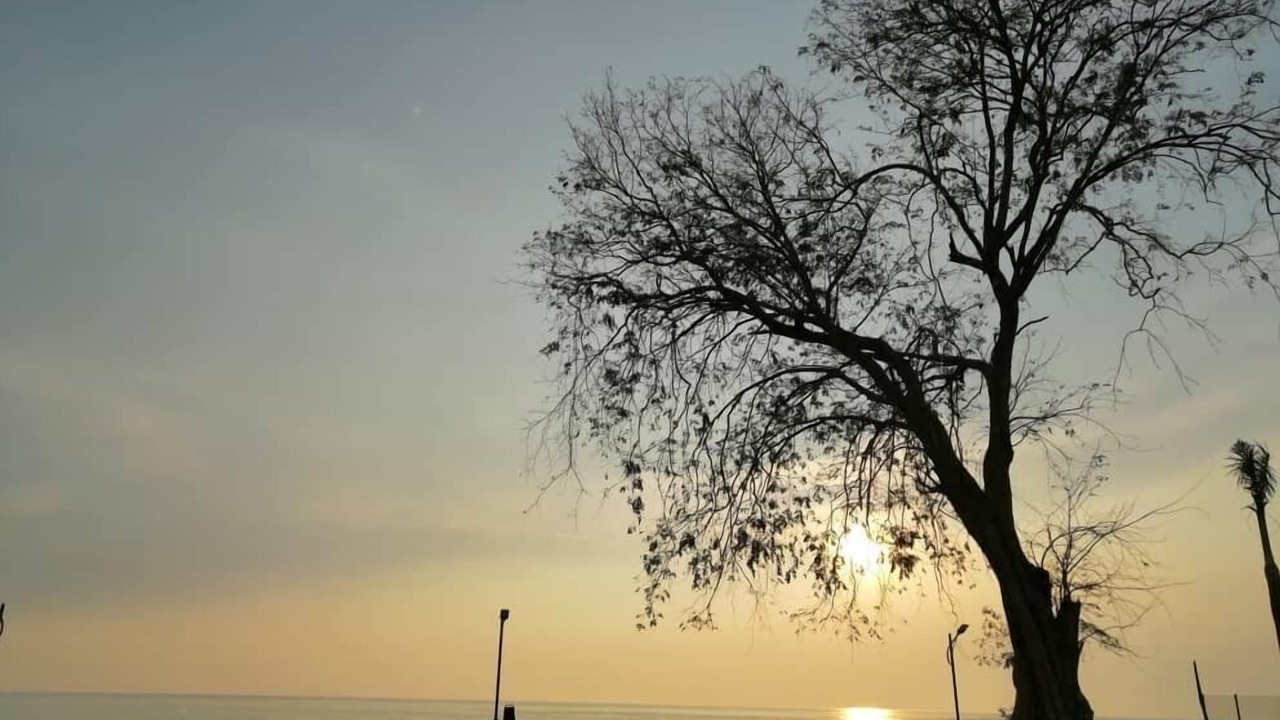 Photo of Outdoor in Sungai Menyala