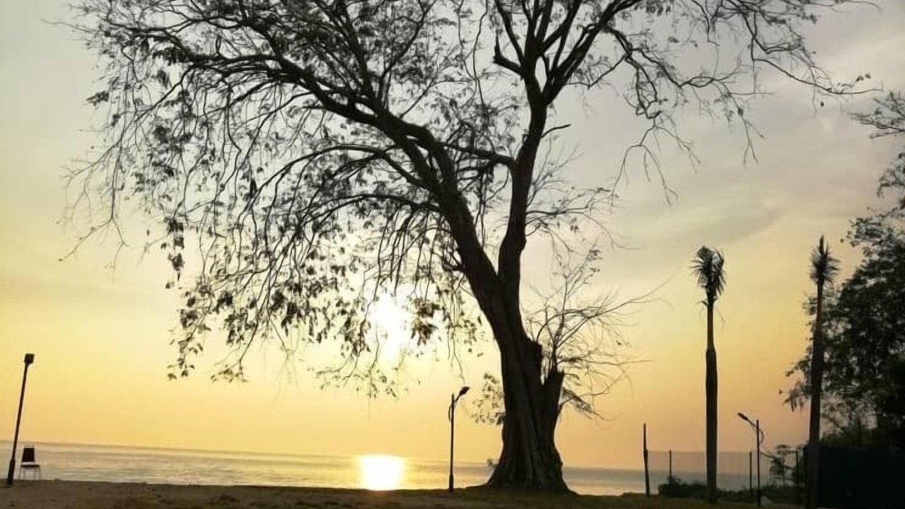 Photo of Outdoor in Sungai Menyala