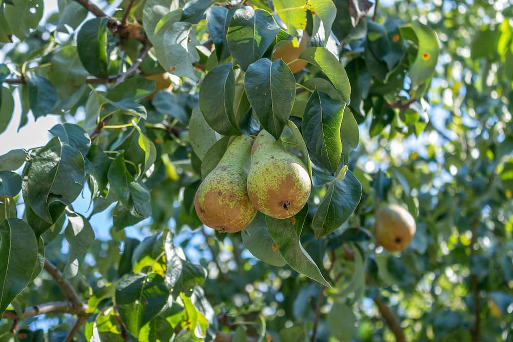 Photo of Outdoor in Stevenage