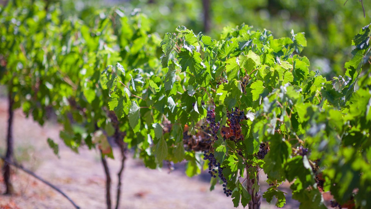 Photo of Outdoor in Manson