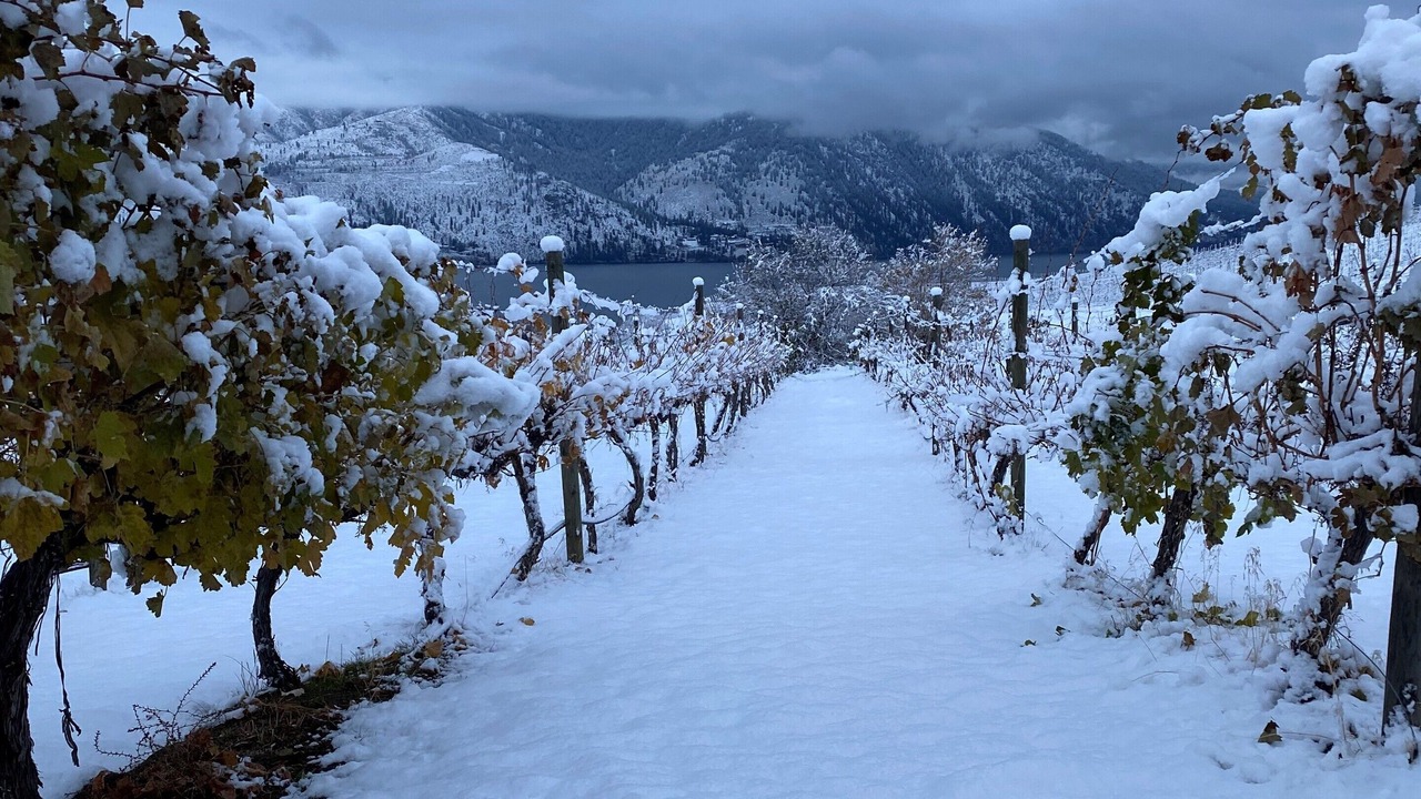 Photo of Others in Manson