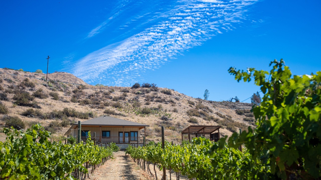 Photo of Others in Manson