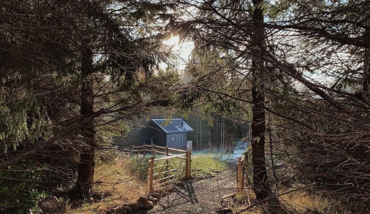 Photo of Others in Balfron