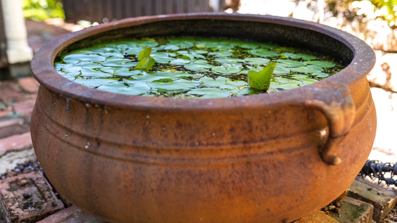 Photo of Outdoor in North Ward