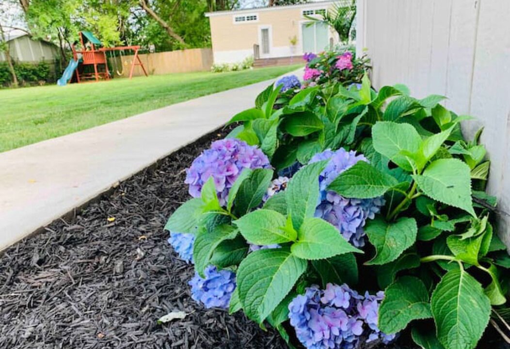 Photo of Outdoor in Indianapolis