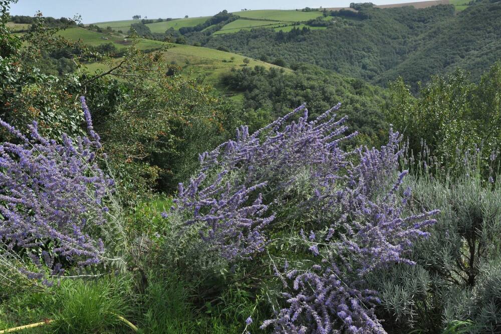 Photo of Outdoor in Montclar