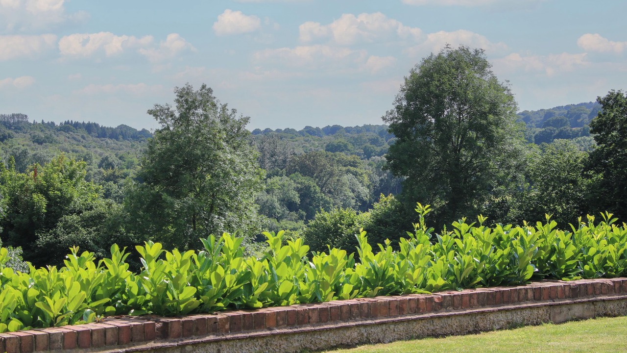 Photo of Others in Kidderminster