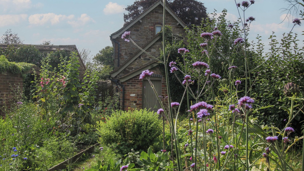 Photo of Others in Kidderminster