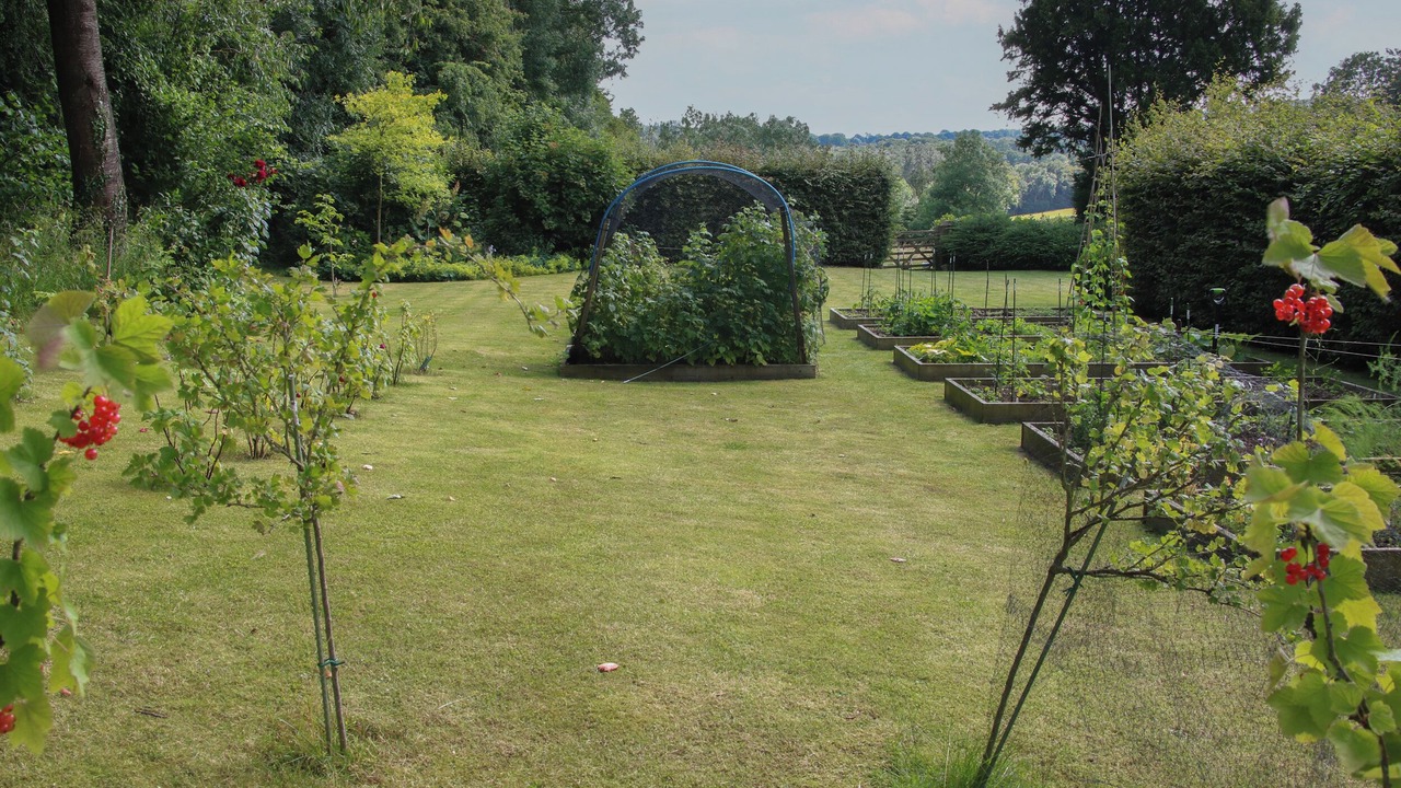 Photo of Others in Kidderminster