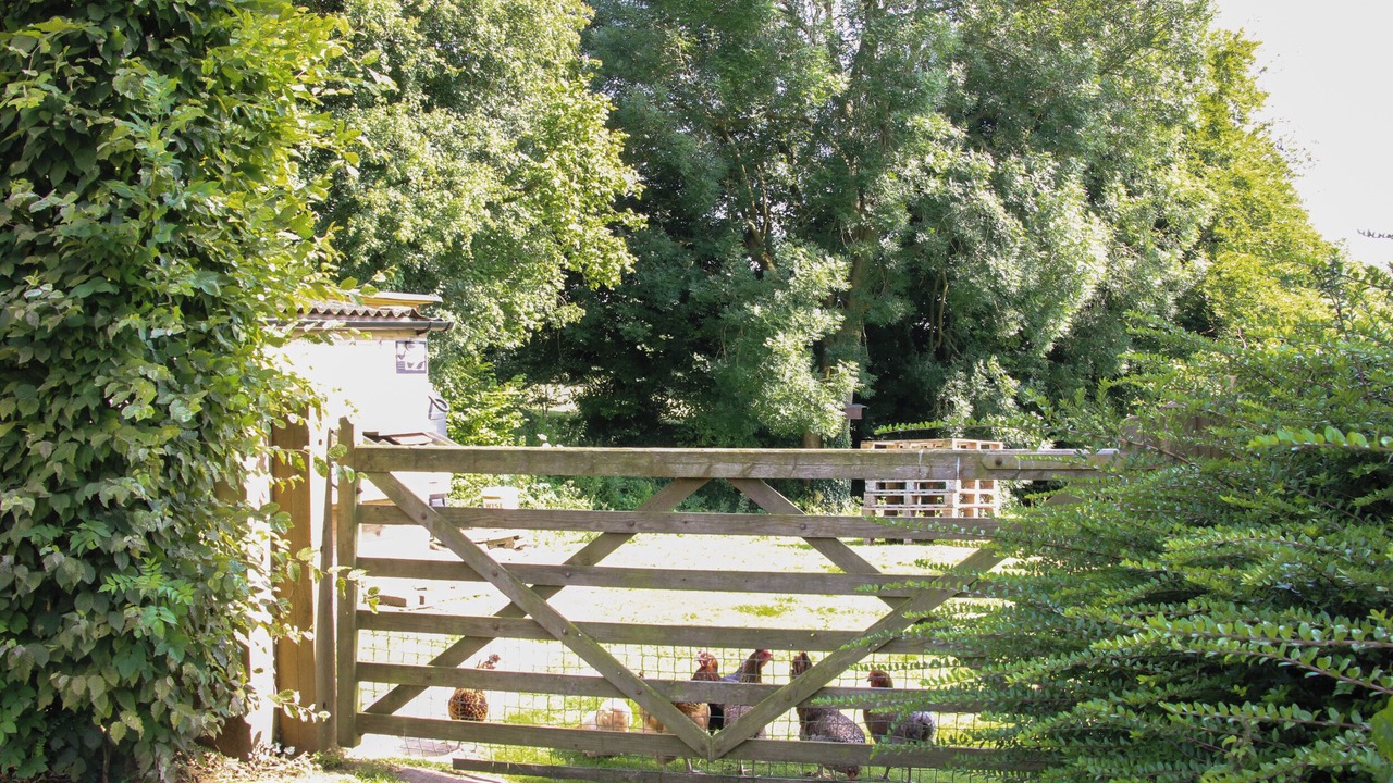 Photo of Others in Kidderminster