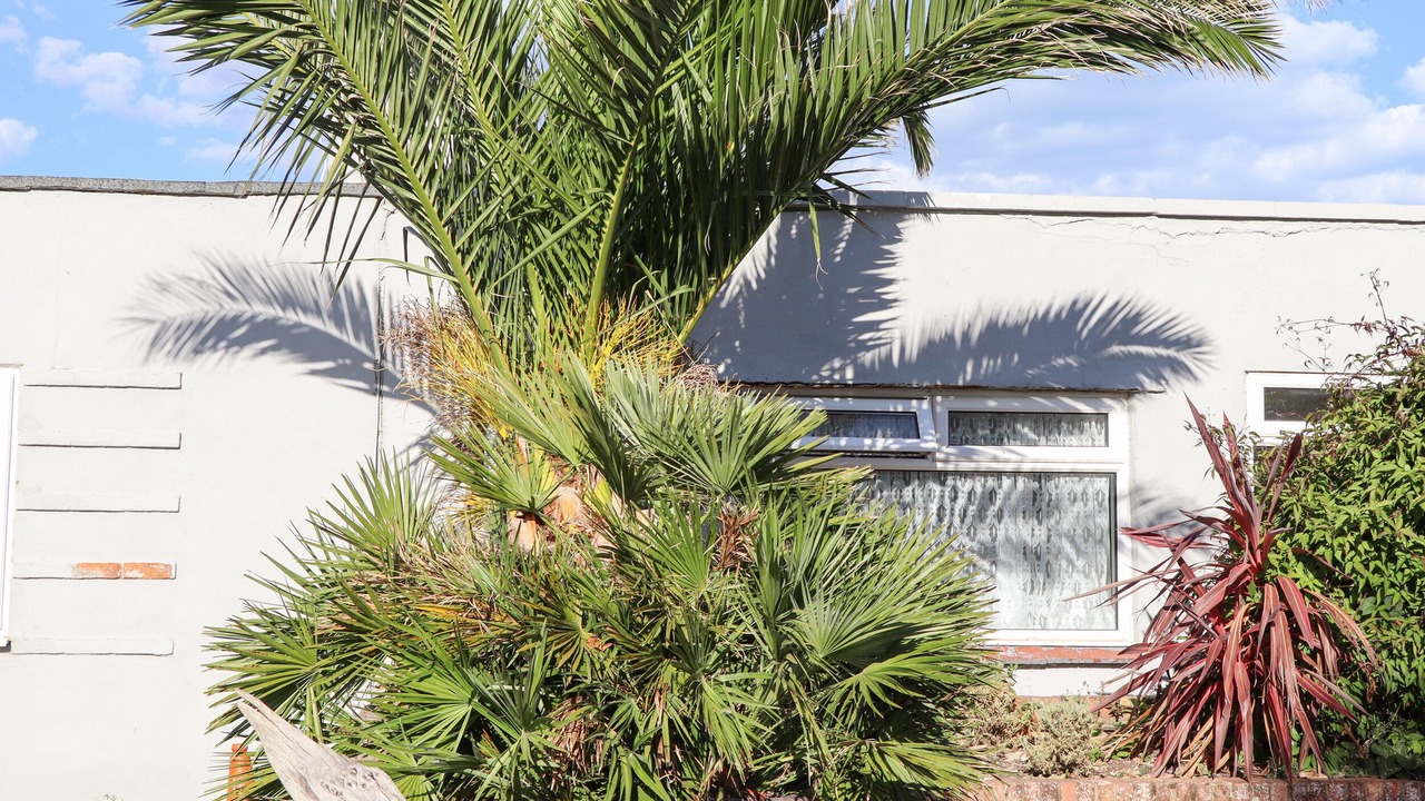 Photo of Others in Pevensey