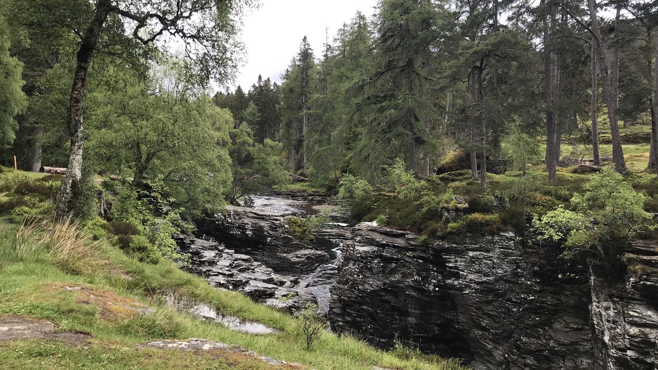 Photo of Others in Braemar