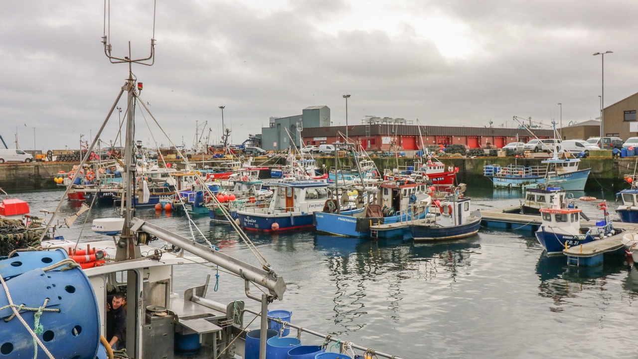 Photo of Others in St Combs