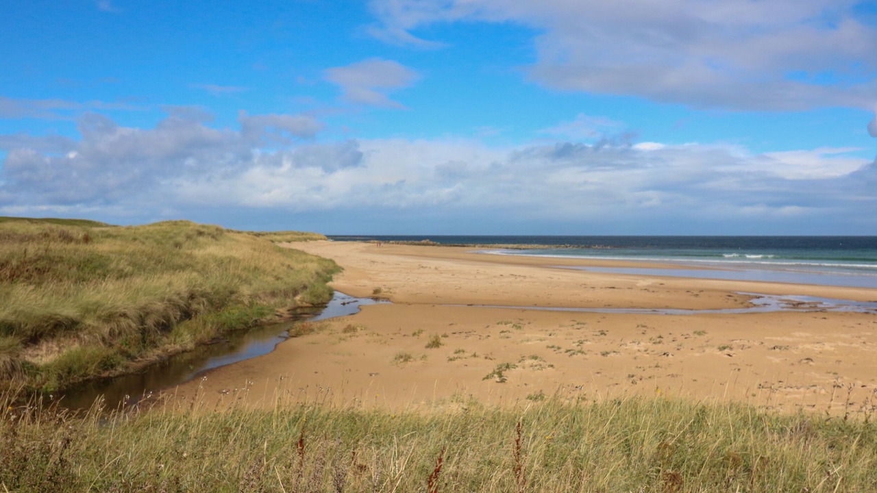 Photo of Others in St Combs