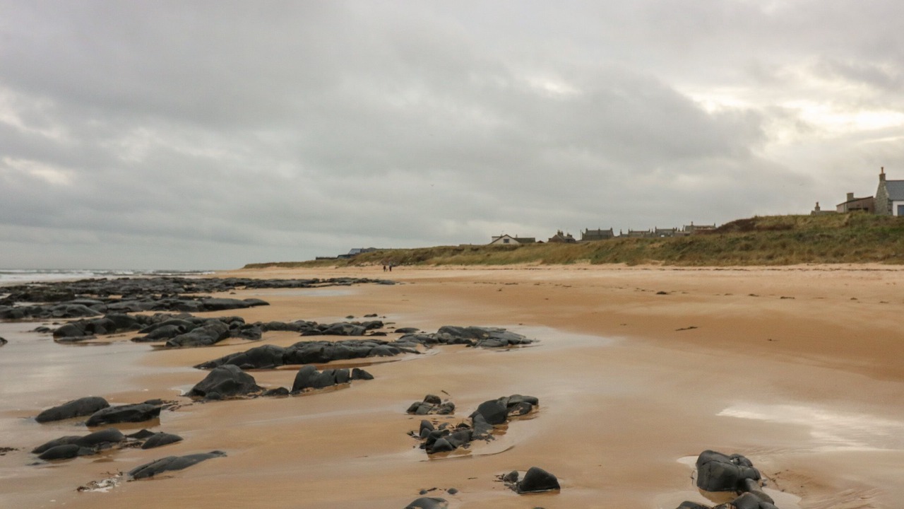 Photo of Others in St Combs