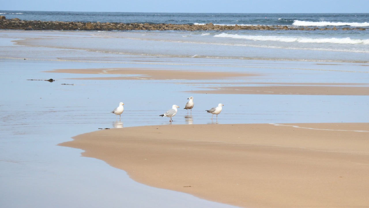 Photo of Others in St Combs