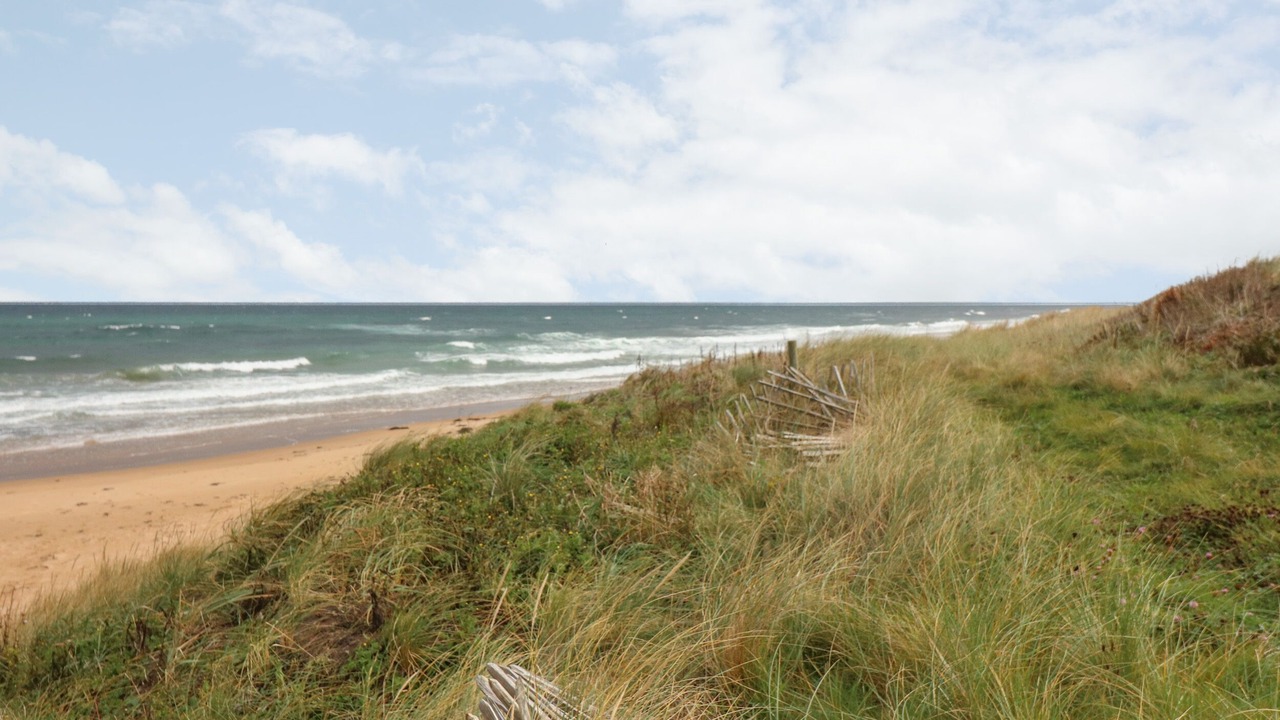 Photo of Others in St Combs