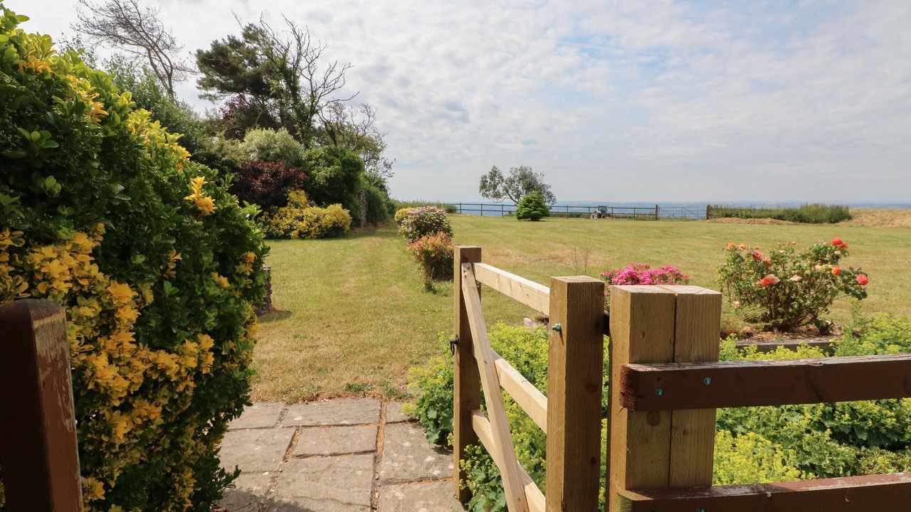 Photo of Others in Barnstaple