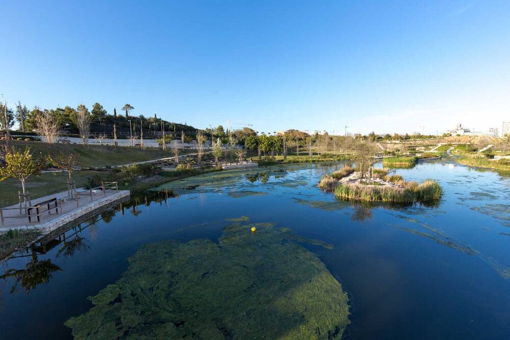 Photo of Outdoor in Pla del Bon Repos