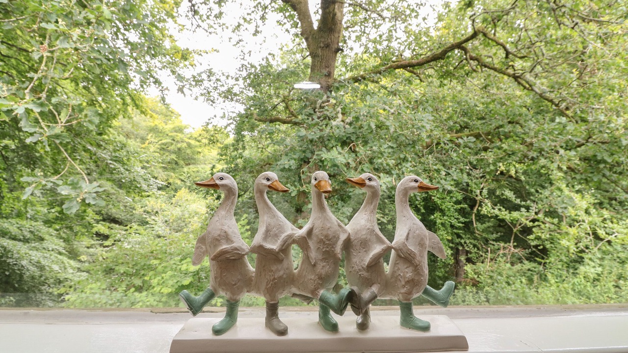 Photo of Others in Heligan