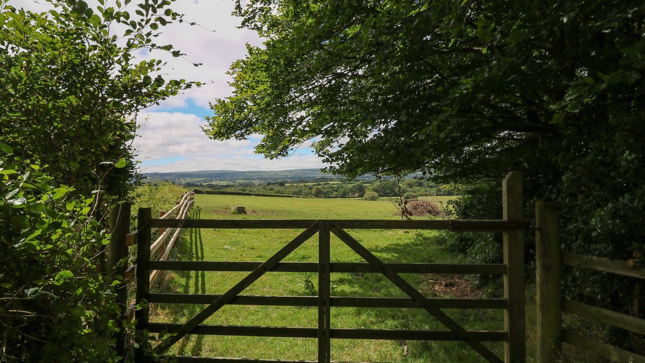 Photo of Others in Heligan