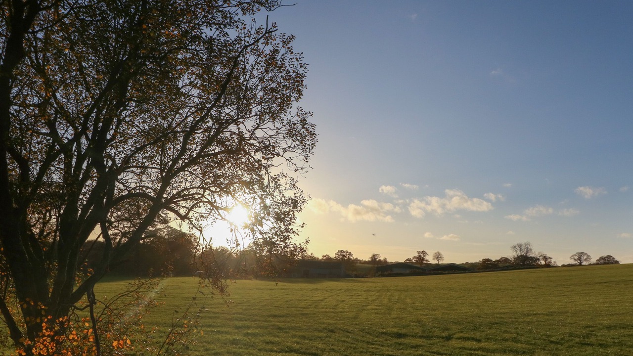 Photo of Others in Wennington