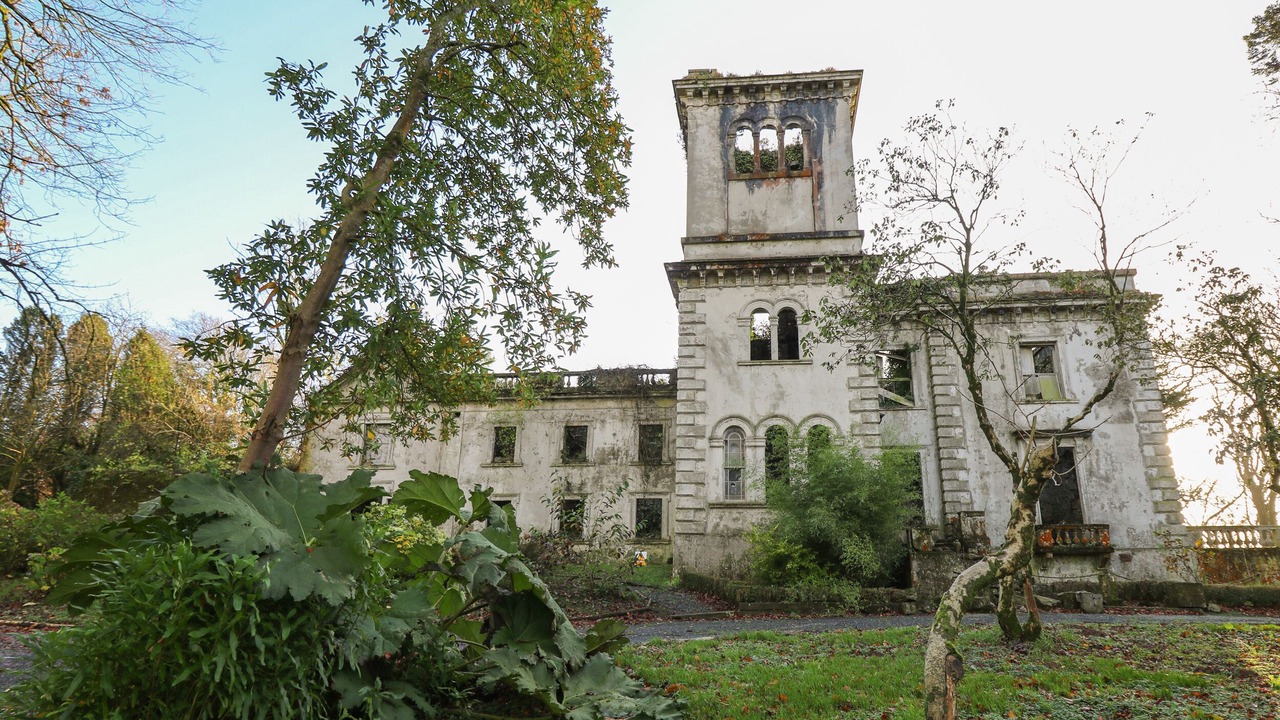 Photo of Others in Llandefeilog