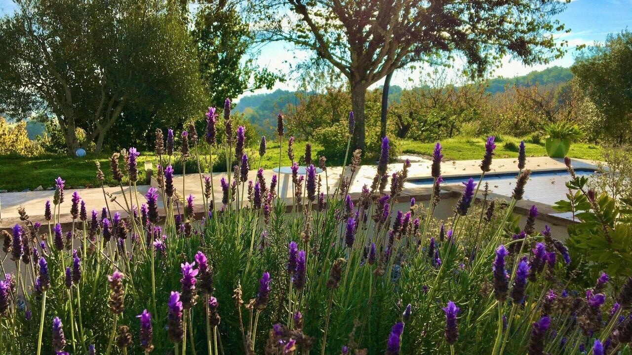 Photo of Outdoor in L'Honor-de-Cos