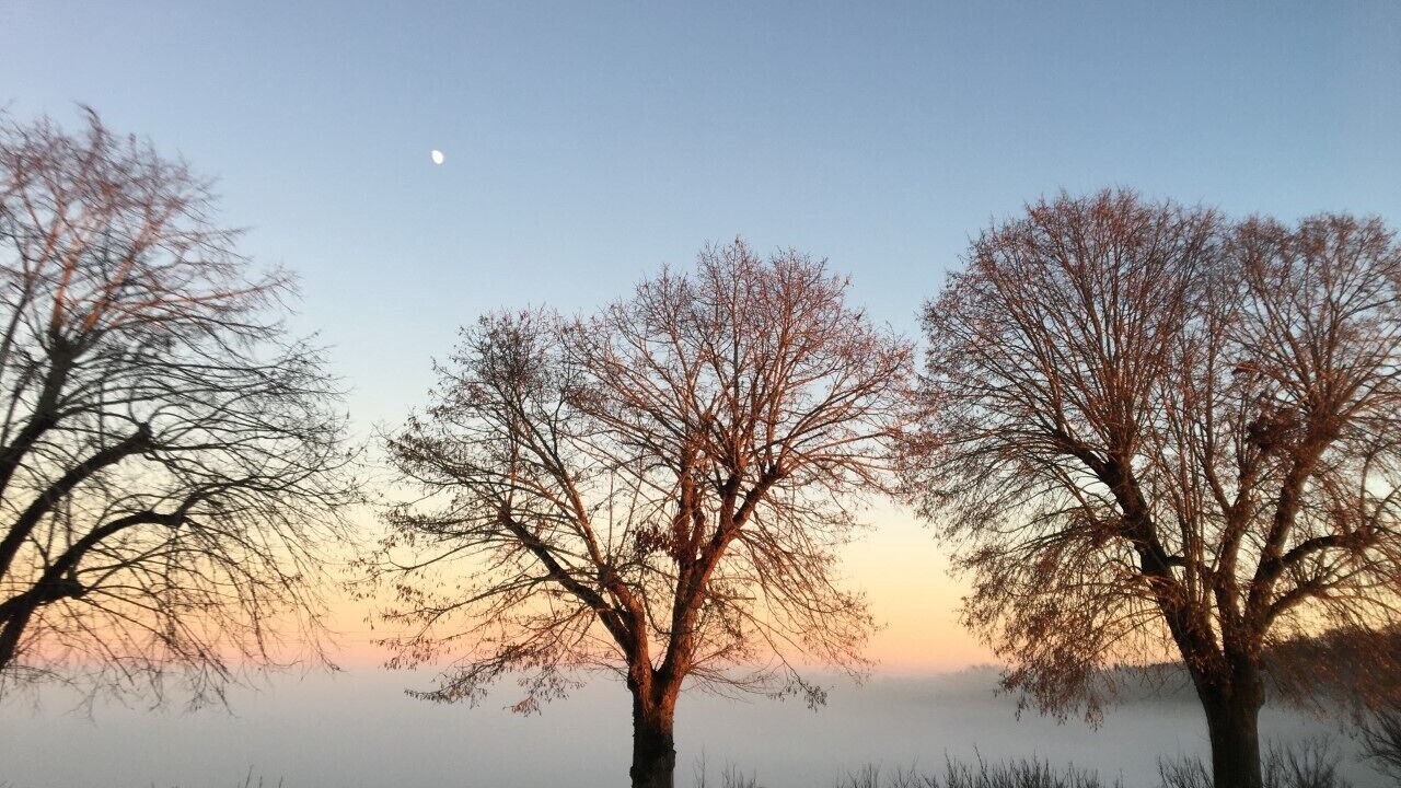 Photo of Outdoor in L'Honor-de-Cos
