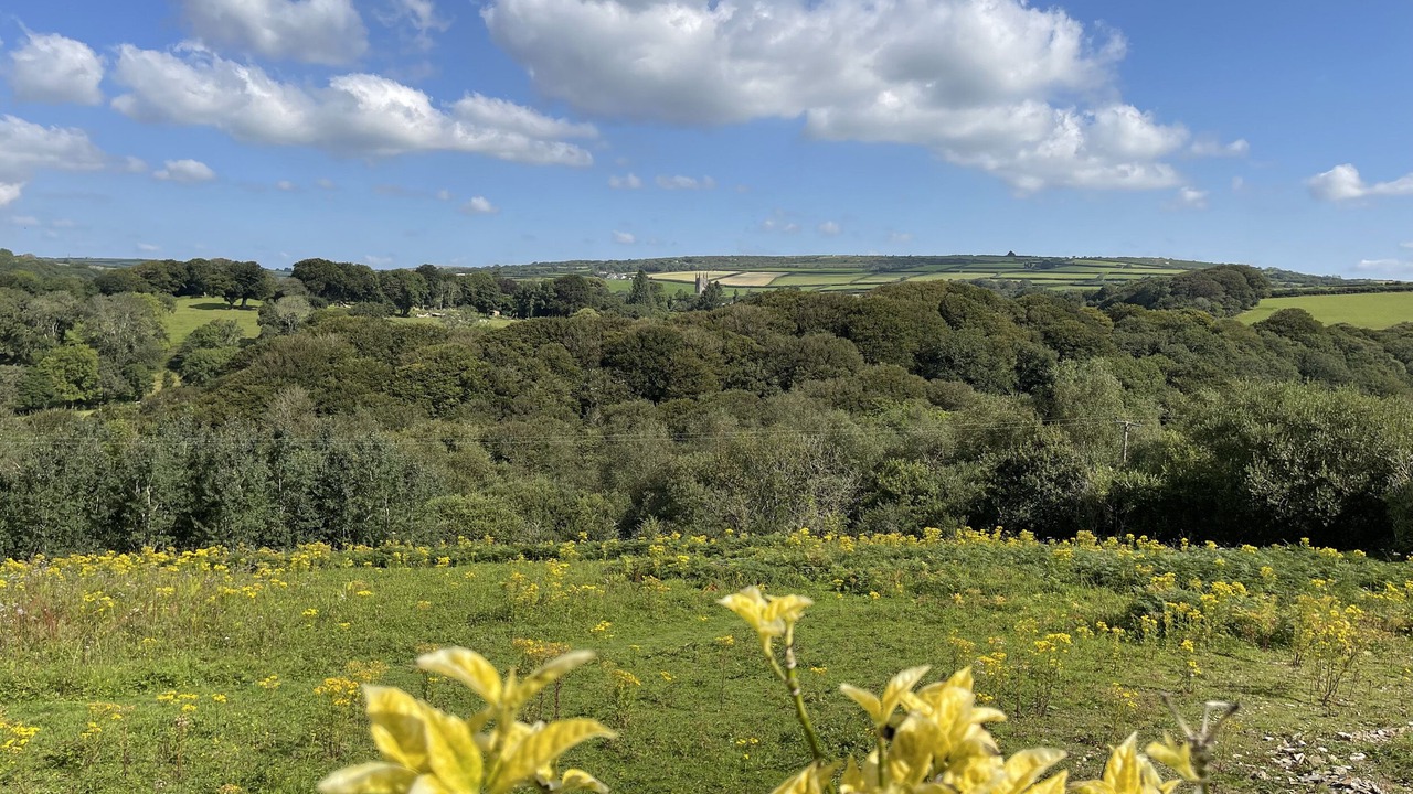 Photo of Others in Cardinham