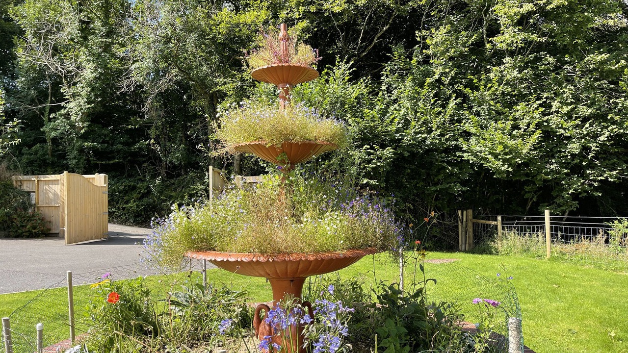 Photo of Others in Cardinham