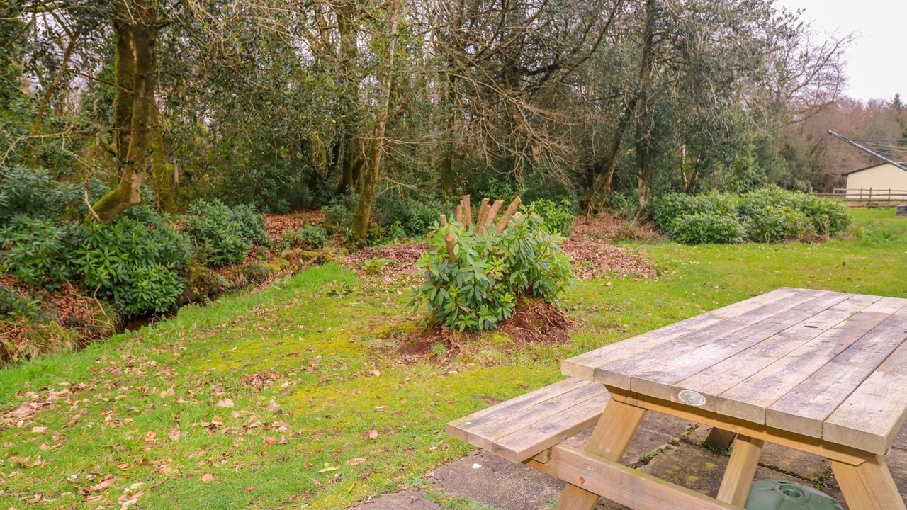 Photo of Others in Liskeard