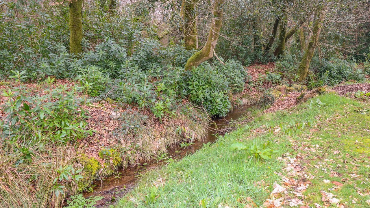 Photo of Others in Liskeard