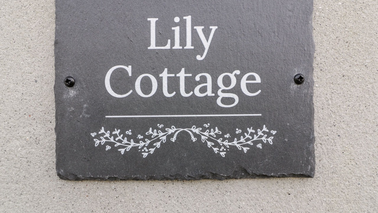 Photo of Others in Camelford