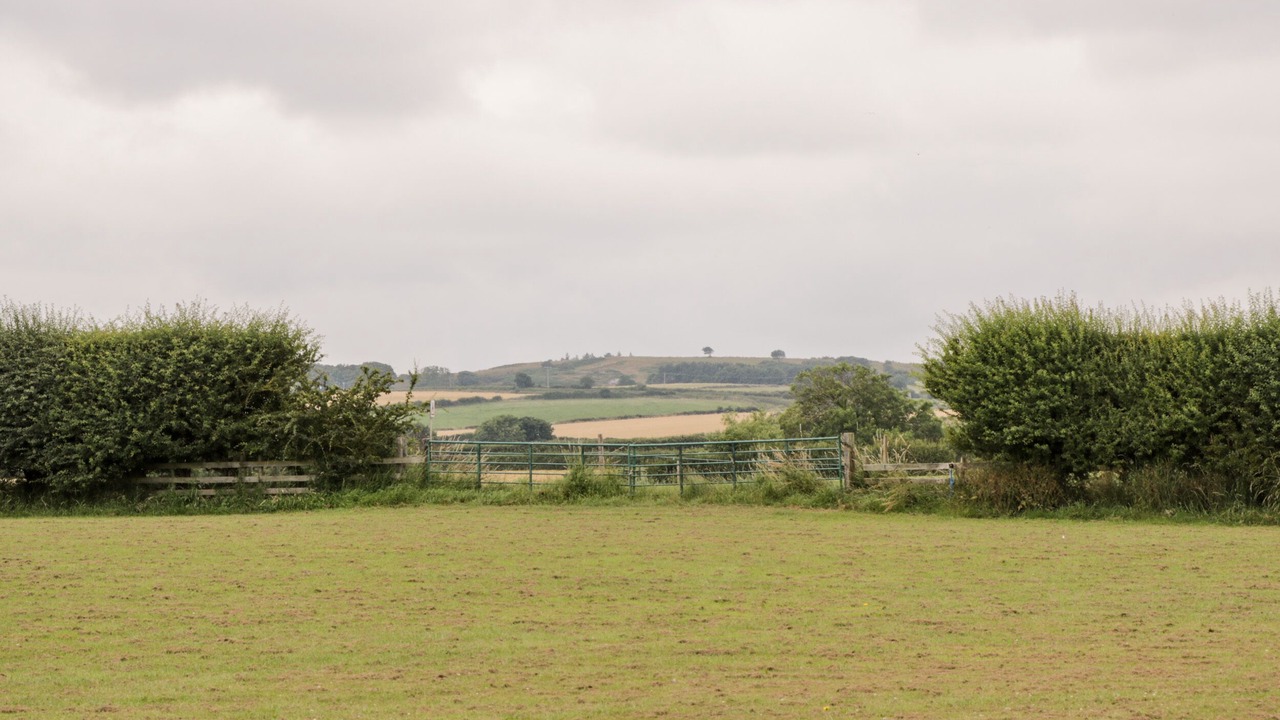 Photo of Others in Ruswarp