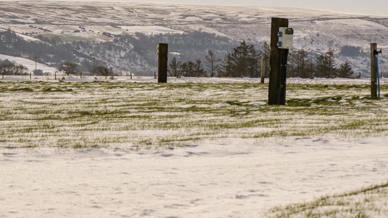 Photo of Others in Ruswarp