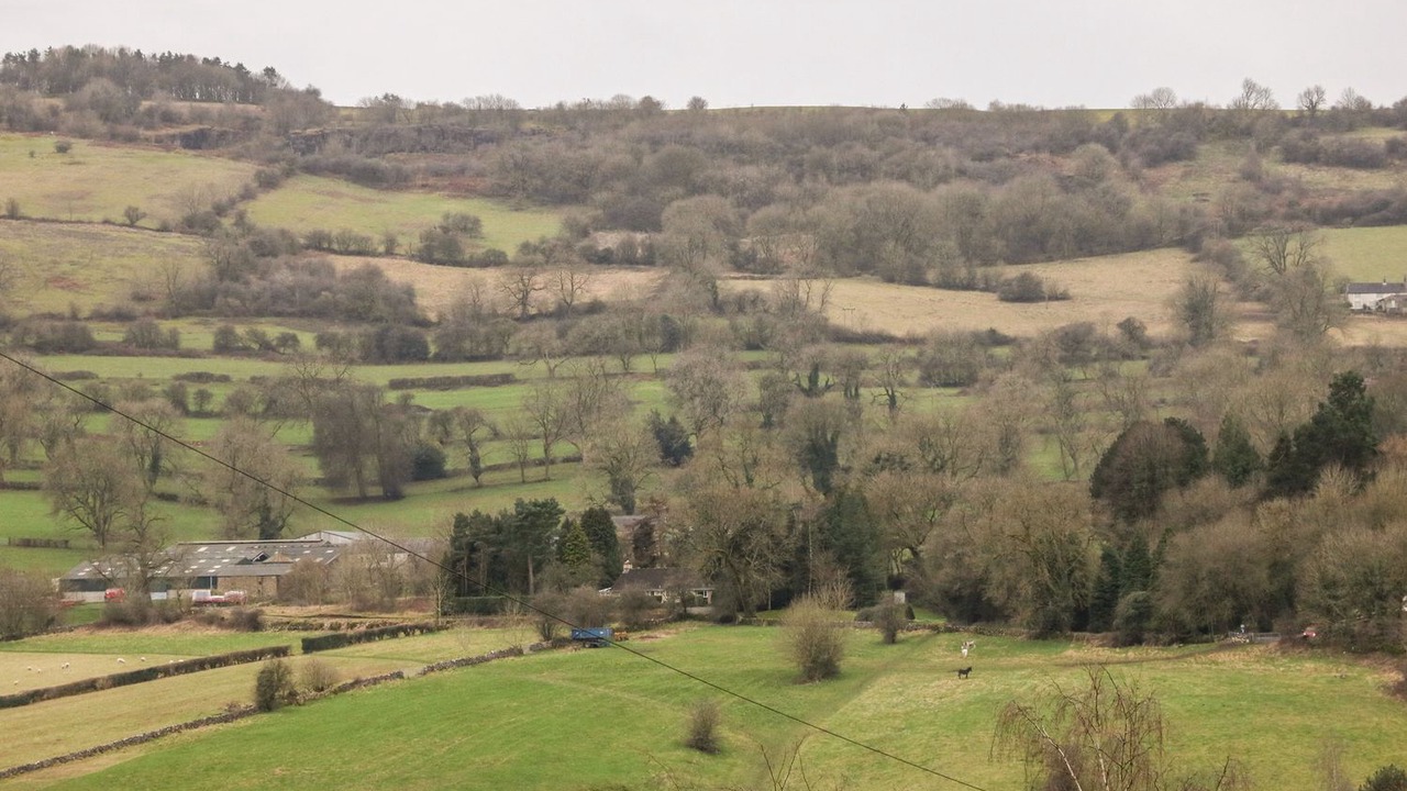 Photo of Others in Middleton