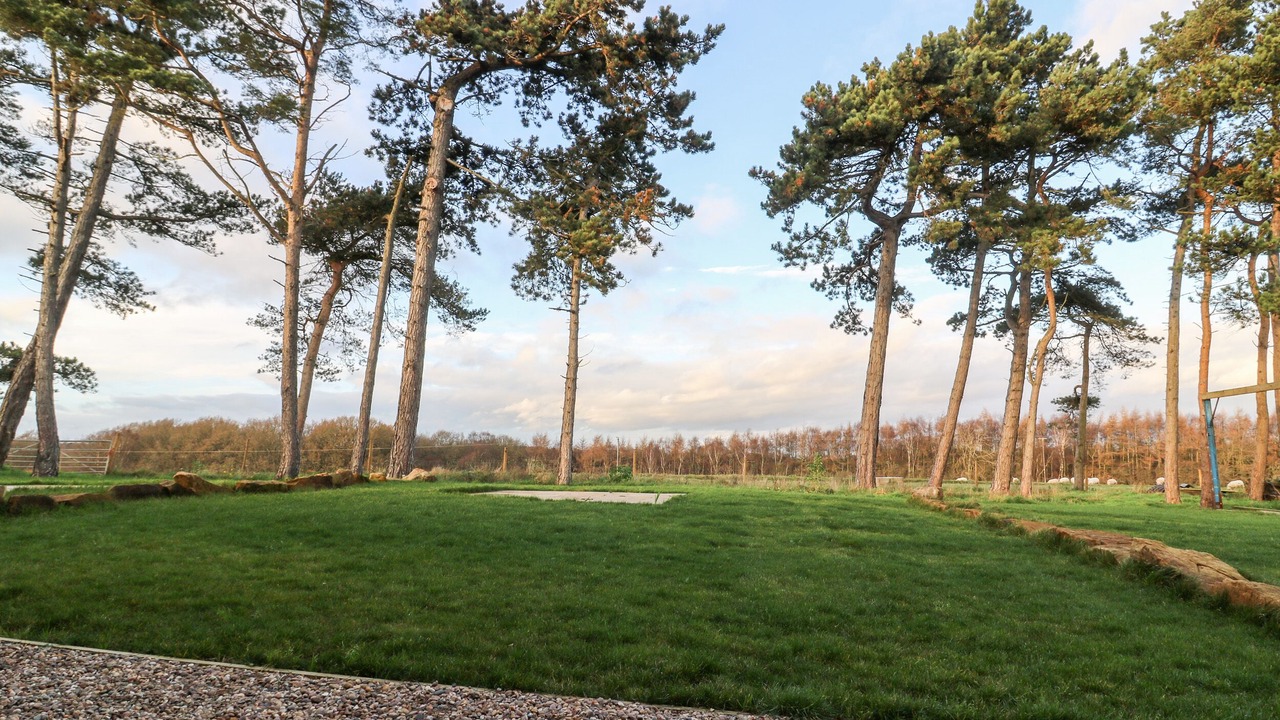 Photo of Others in Harrogate