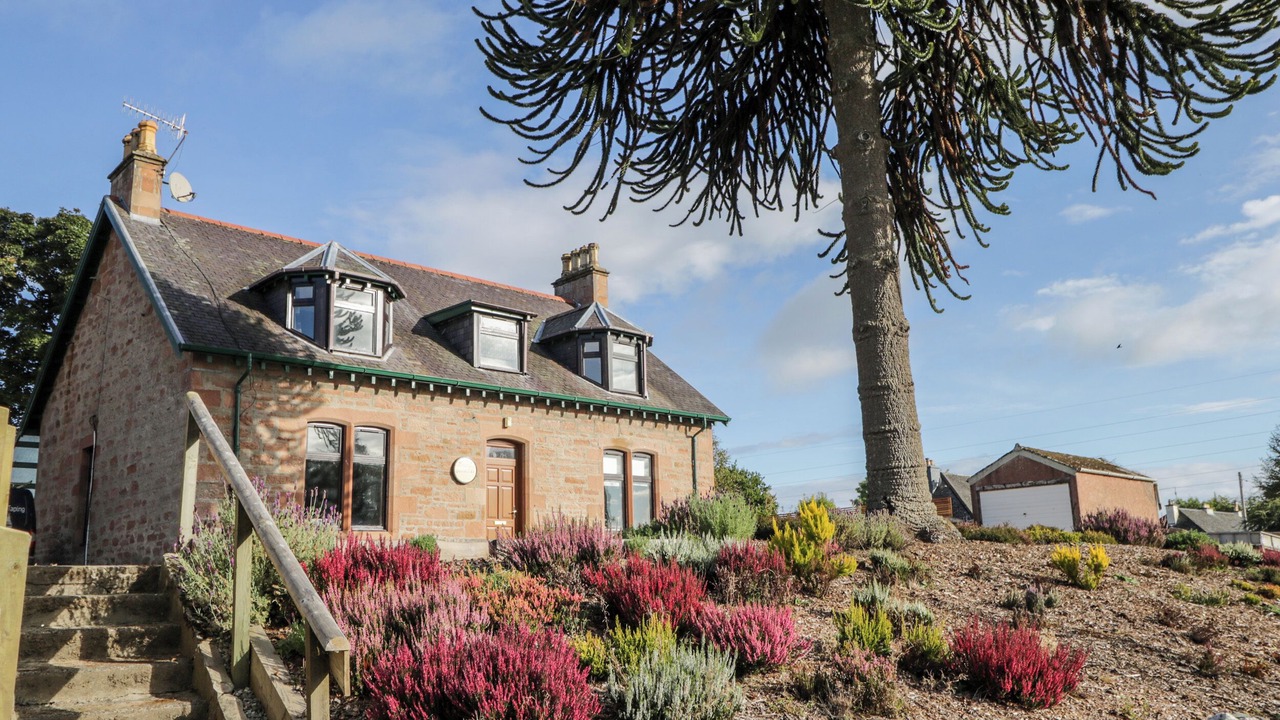 Photo of Others in Marybank