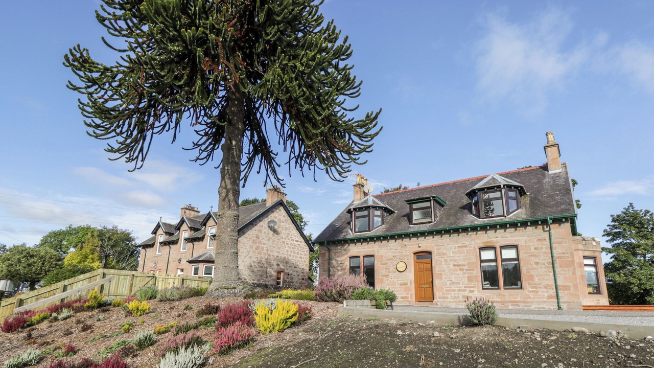 Photo of Others in Marybank