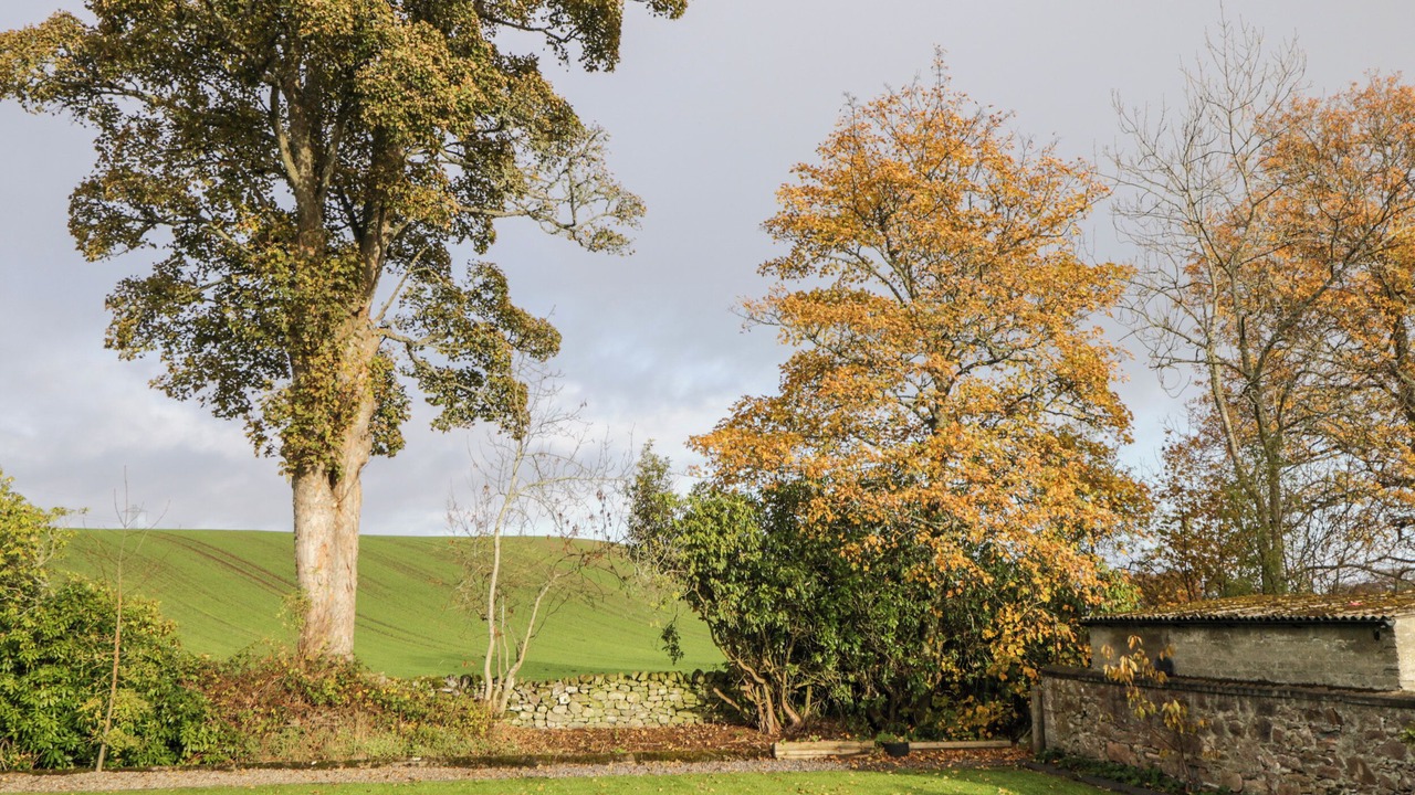 Photo of Others in Marybank