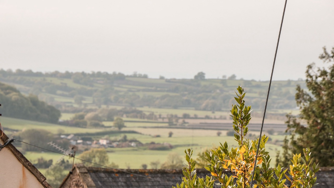 Photo of Others in Cheddar