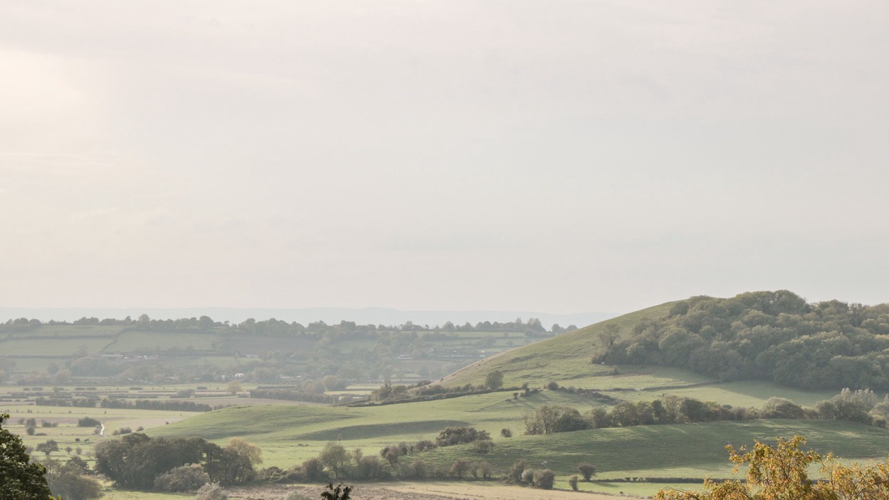 Photo of Others in Cheddar