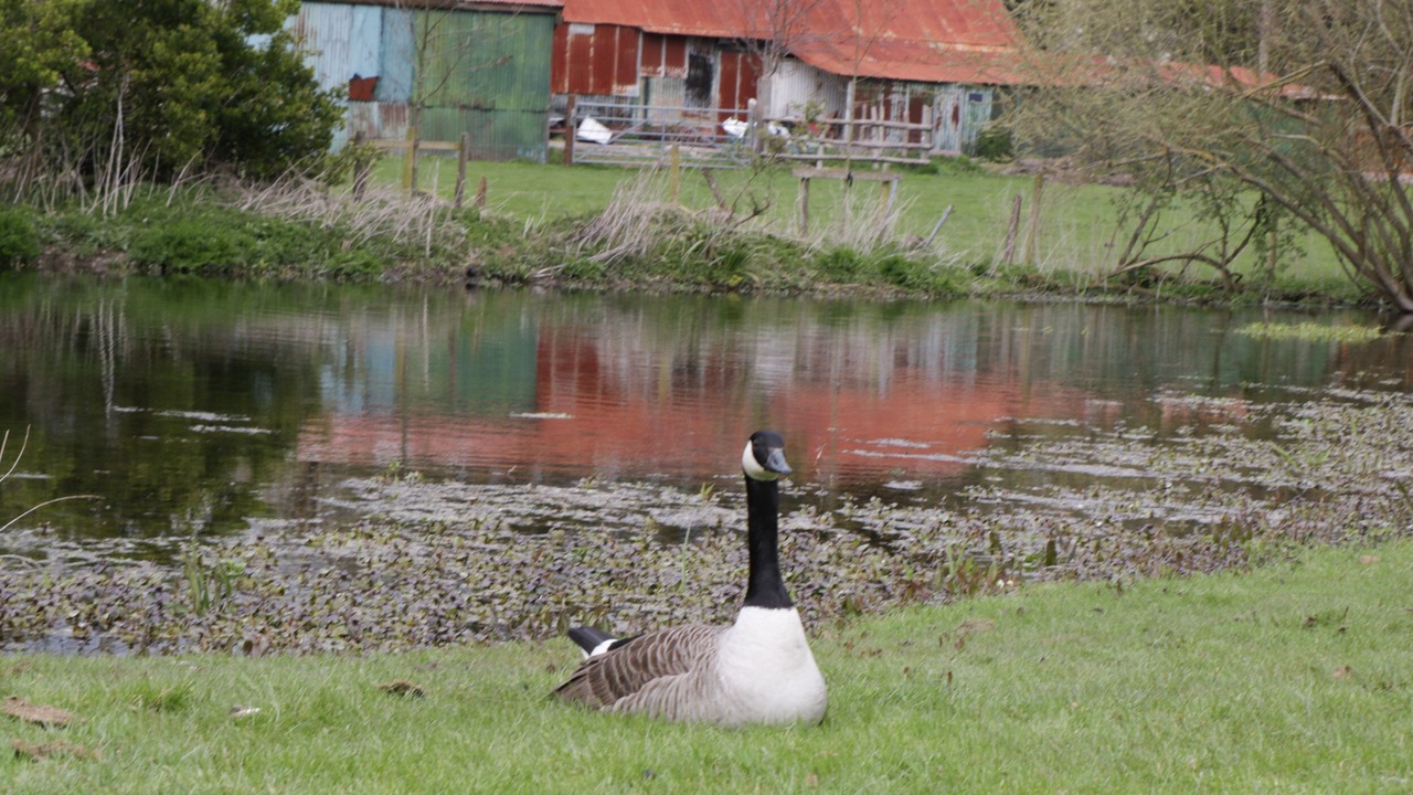Photo of Others in Winterborne Zelston